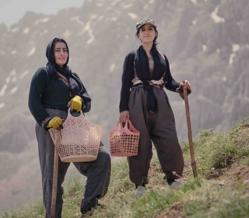 Mujeres de Dargala recolectando hierbas y frutas de primavera